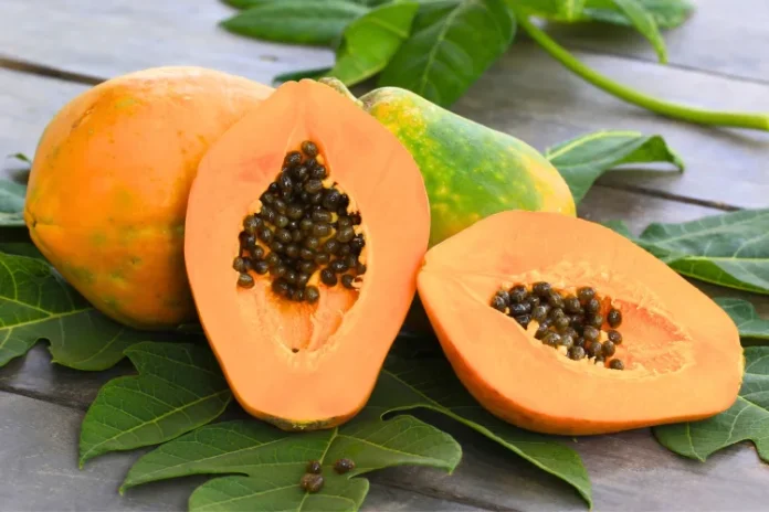 Papaya Fruit