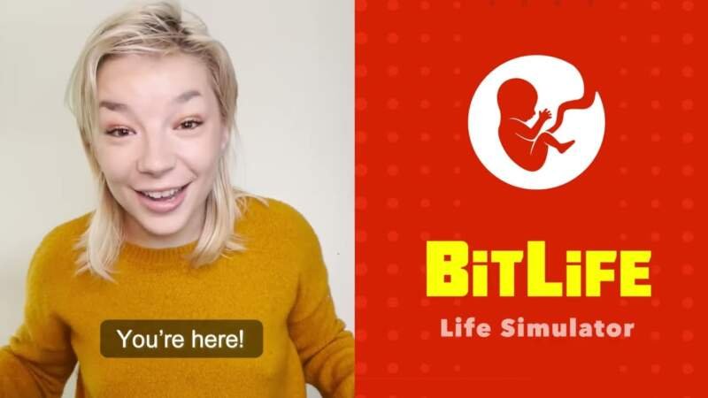 What is BitLife